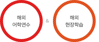 해외어학연수, 해외현장학습, 해외현지학기제